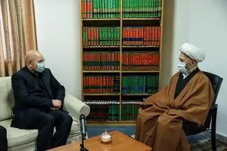 دیدار رئیس مجلس شورای اسلامی با مراجع عظام تقلید در قم/گزارش تصویری