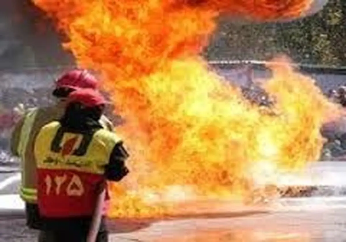 
آتش سوزی بخشی از پوشش گیاهی حاشیه ای تالاب شادگان
