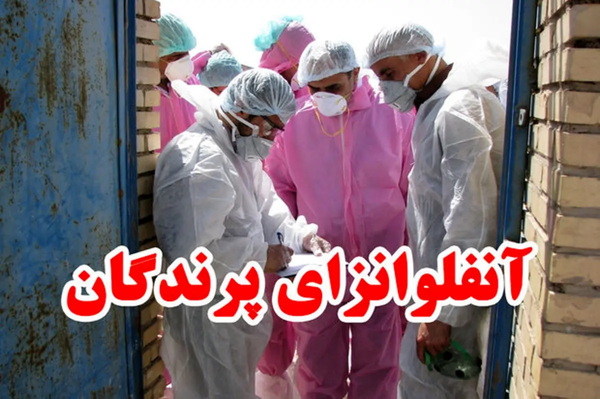 آنفلوانزای فوق حاد پرندگان در کشور در کنترل و مهار قرنطینه ای است