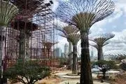 تصاویر; باغ بزرگ مصنوعی در سنگاپور