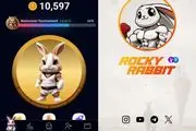 کارت های روزانه راکی رابیت Rocky Rabbit امروز 5 شهریور دوشنبه