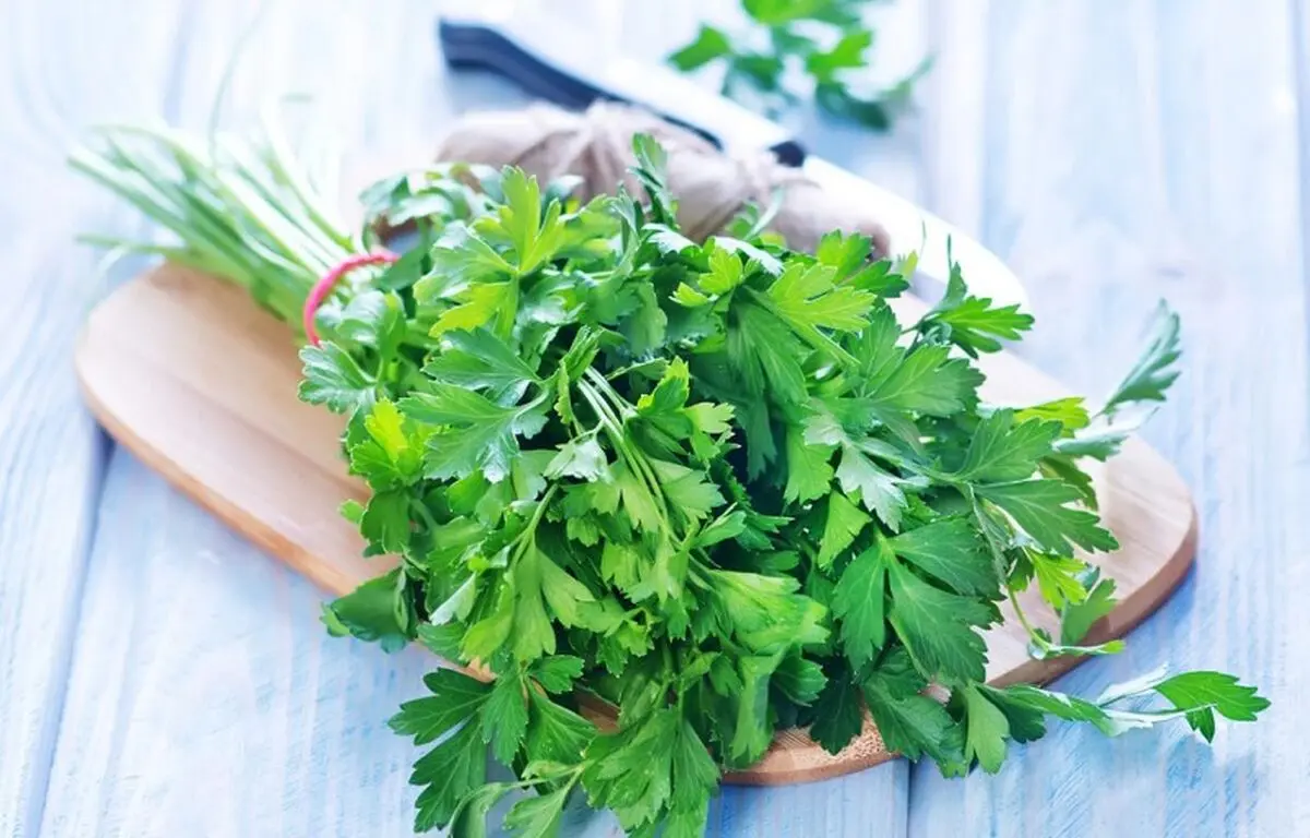 خواص شگفت انگیز چای جعفری