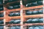 کشف کارخانه بزرگ سلاح های شیمیایی داعش در مرکز عراق