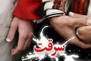 
دستگیری بیش از 20 سارق و کشف 230 فقره سرقت
