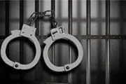 بازیگر ممنوع الکار ایرانی به 6 سال حبس محکوم شد/ سند