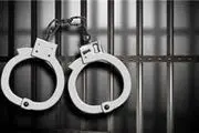 دستگیری ۱۵ عضو یک گروه از مجرمین سابقه‌دار و حرفه‌ای