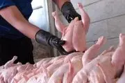 عرضه مرغ در تهران افزایش یافت
