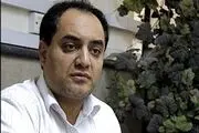 توضیحات شهرداری تهران درباره اقدام خلاف قانون پیمانکار در کشتن سگ‌های ولگرد