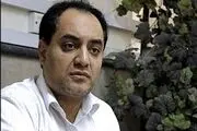 توضیحات شهرداری تهران درباره اقدام خلاف قانون پیمانکار در کشتن سگ‌های ولگرد