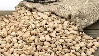 دور زدن واسطهها با معاملات گواهی سپرده پسته بادامی در بورس کالا