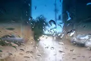 رطوبت ۱۰۰ درصدی هوا در آبادان و خرمشهر