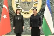 رایزنی رئیس مجلس سنای ازبکستان با هیئت پارلمان ملی ترکیه