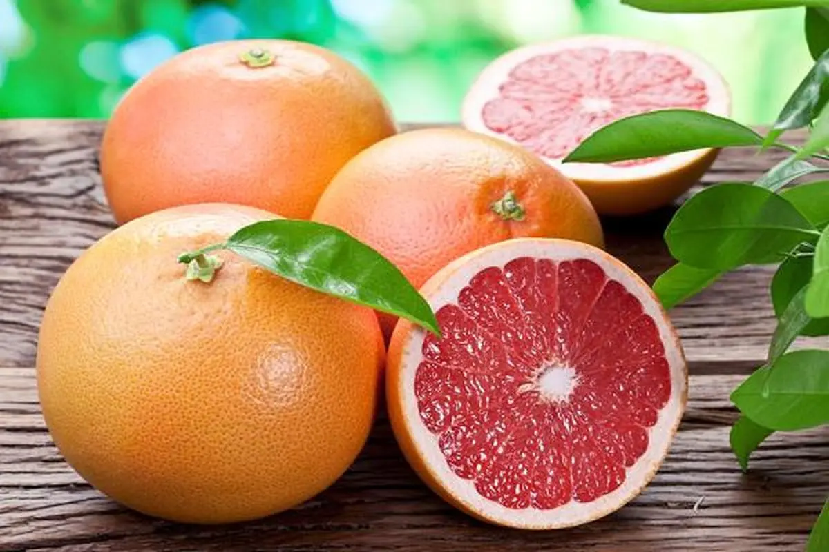 چگونه لاغر شوم؟