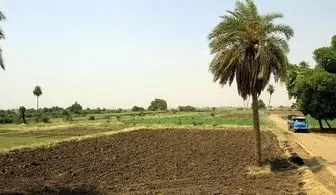 زمین ها ی مجانی سودان برای عربستان