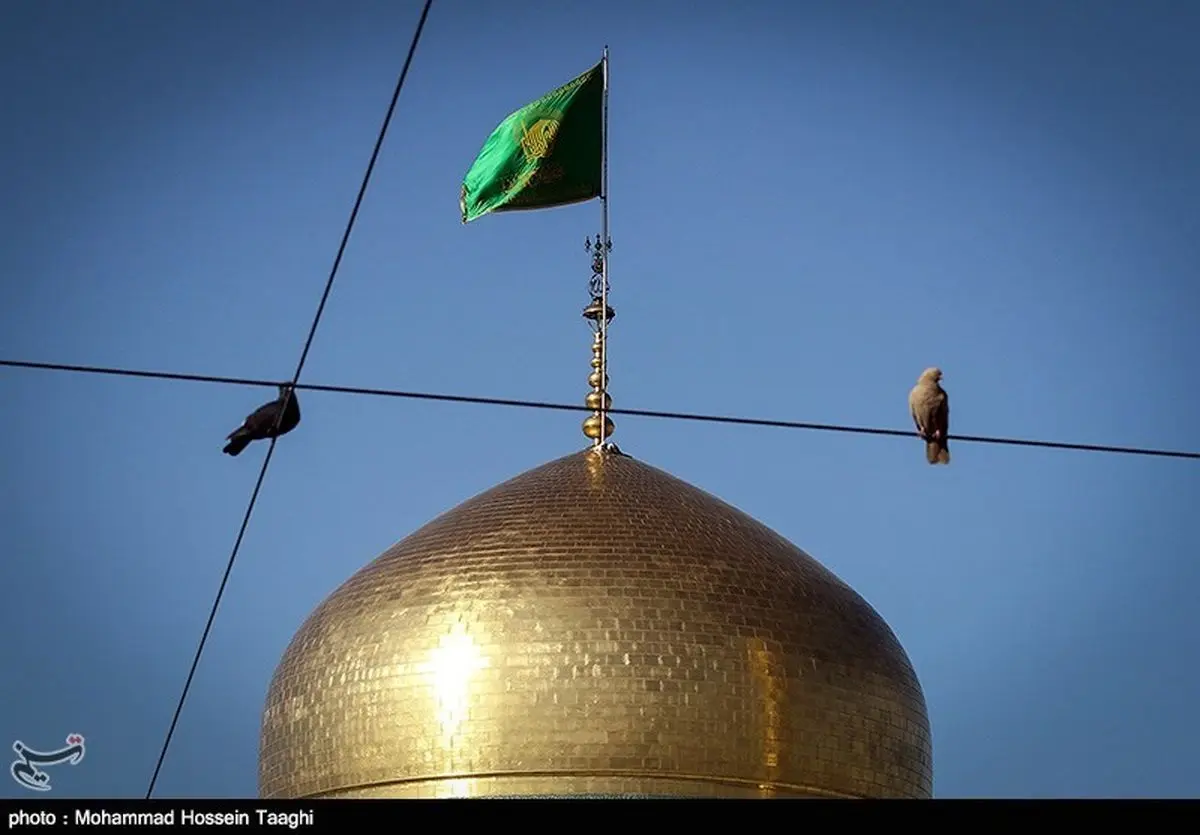  پیوند زوج مسلمان آمریکایی در رواق دارالرحمه حرم رضوی 