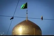  پیوند زوج مسلمان آمریکایی در رواق دارالرحمه حرم رضوی 