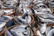 تاراج دریای جنوب توسط چینی‌ها