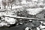 زندگی کردن در مناطق سرد مضر است