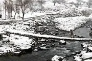 زندگی کردن در مناطق سرد مضر است