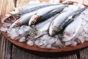 هزینه خرید ماهی در بازار چقدر است؟
