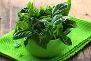 خواص بی نظیر ریحان+ 10 ویژگی منحصر به فرد