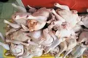 کاهش ناچیز قیمت مرغ در بازار