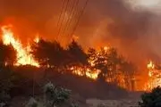 آتش سوزی مشکوک در جنگل‌های ترکیه