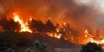 آتش سوزی مشکوک در جنگل‌های ترکیه