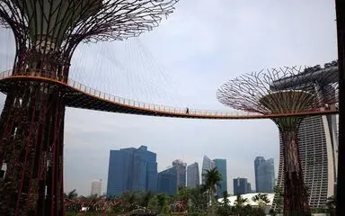 n00101785-r-b-002