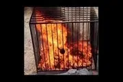 داعش، 19 دخترِ کُرد را در قفس سوزاند
