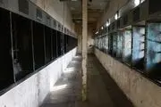 میخواهیم گردشگری شبانه را در تهران احیا کنیم