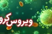 شاهرود در منطقه سفید کرونا 