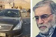 واکنش مشاور سابق یاسر عرفات به ترور شهید فخری زاده+فیلم