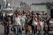 صهیونیست ها ۲۵ میلیون دلار اقلام نقره و طلای ساکنان غزه را غارت کردند