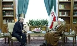 دیدار هاشمی رفسنجانی با سفیر روسیه در ایران