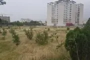 واکنش بنیاد مستضعفان به ماجرای ساخت برج در «باغ برره» 
