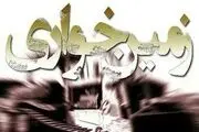 آزاد سازی 928 هزار متر مربع از اراضی ملی به ارزش 300 میلیارد تومان از چنگال زمین خواران/ 91 هزار متر مربع در شمیرانات