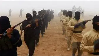 فراخوان سرکرده داعش برای حمله به این کشور