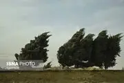 هشدار درمورد افزایش سرعت وزش باد در تهران