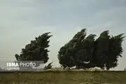 هشدار درمورد افزایش سرعت وزش باد در تهران