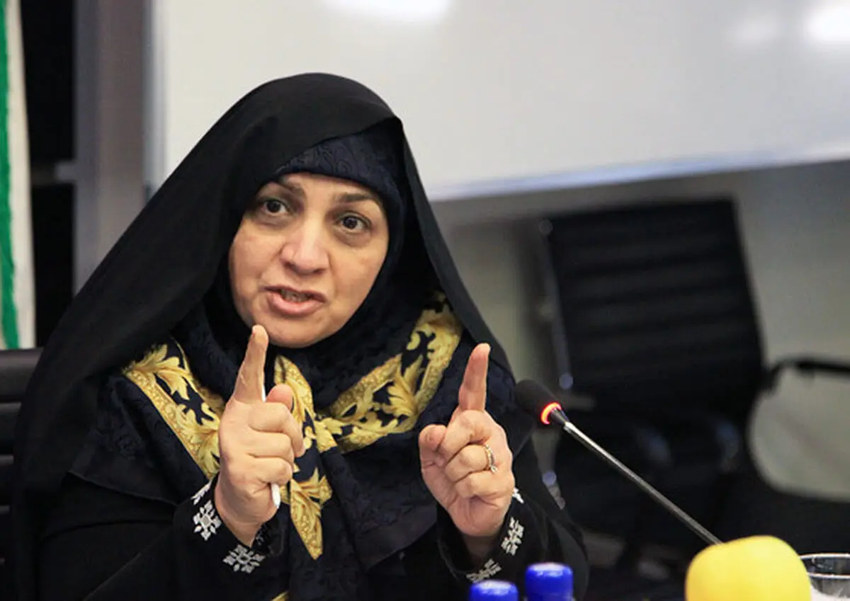 سازمان بازرسی بهترین نهاد رسیدگی به خبر املاک نجومی است/ انتقاد از خلاء قانونی نظارت بر شبکه های مجازی