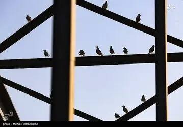 ORGIom5AlKiB
