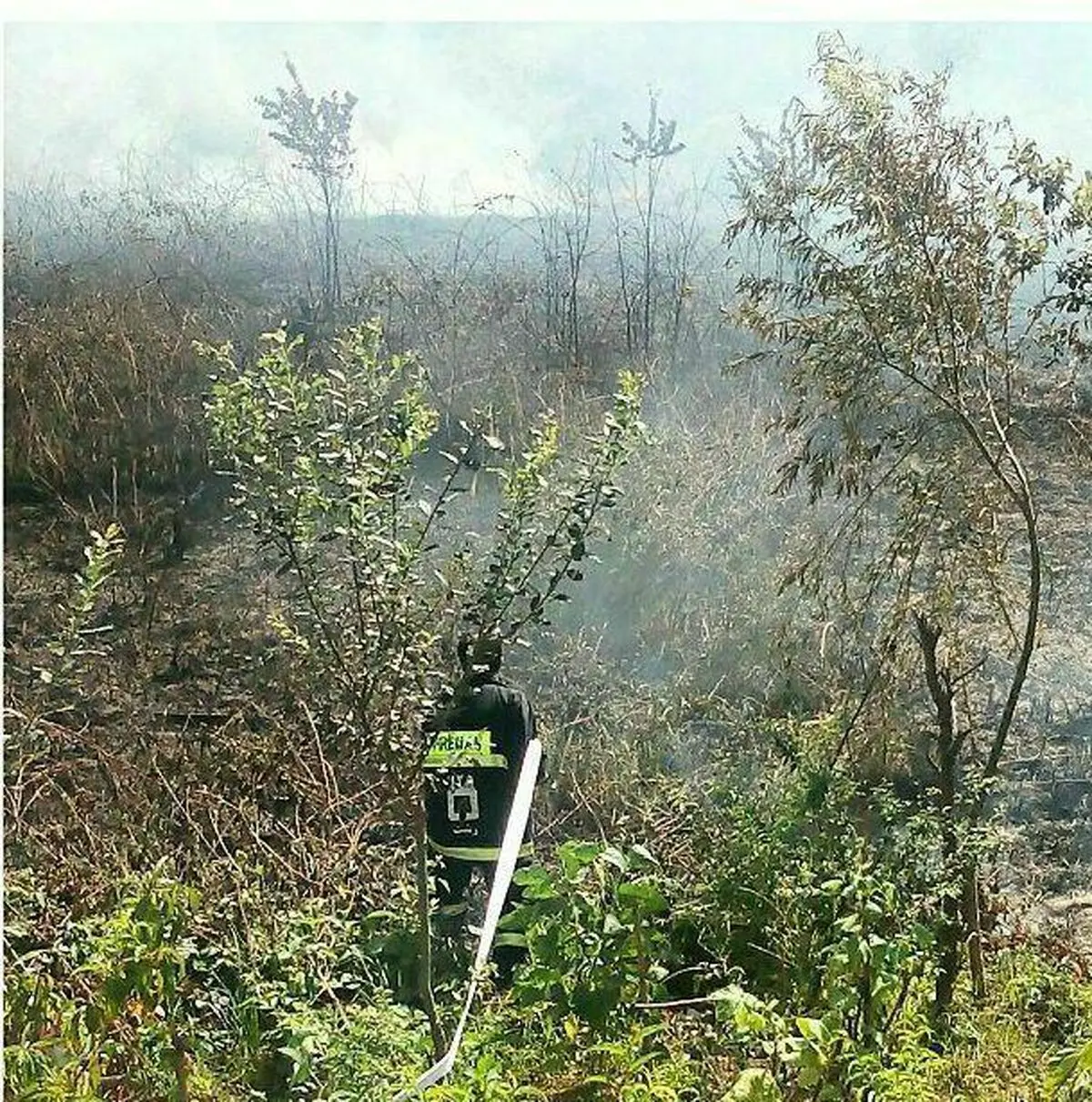 مهار آتش سوزی زمین های سطح شهر رشت
