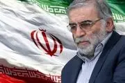 تا شهید نباشی شهید نمی شوی