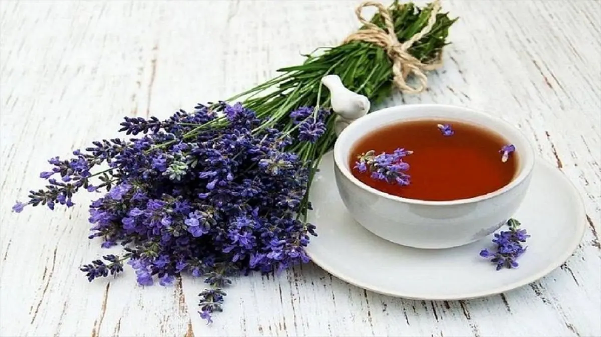 خواص گل گاو زبان را بشناسید/ ممنوعیت استفاده از گل گو زبان برای این افراد