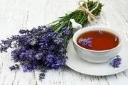 خواص گل گاو زبان را بشناسید/ ممنوعیت استفاده از گل گو زبان برای این افراد