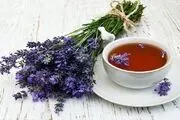 خواص گل گاو زبان را بشناسید/ ممنوعیت استفاده از گل گو زبان برای این افراد