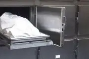 راه اندازی سردخانه‌های موقت در انگلیس با شیوع ویروس کرونا
