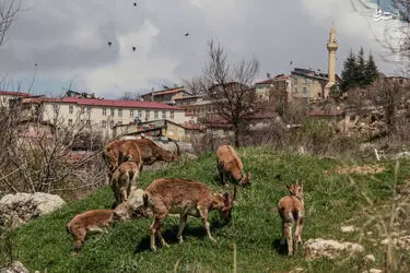 5XSuq2Jga2Mt