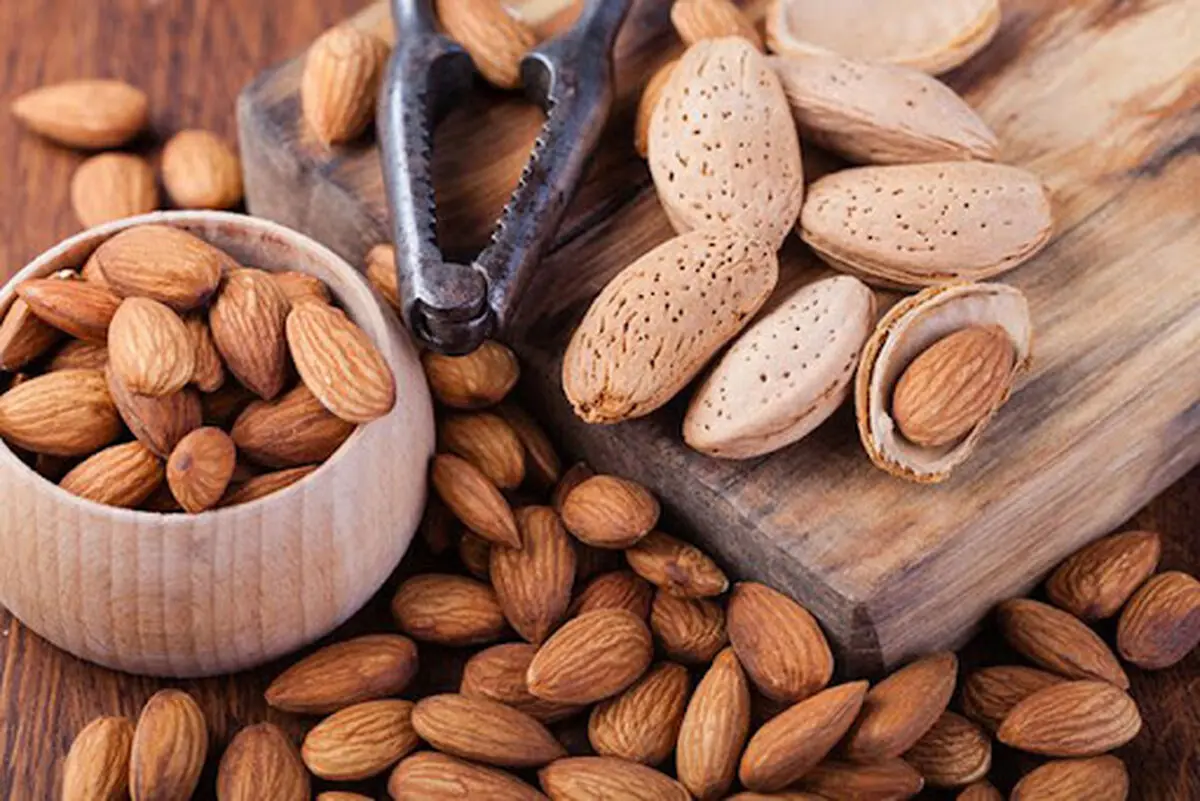 قیمت آجیل و خشکبار ۱۶ خرداد ۱۴۰۳+ جدول 
